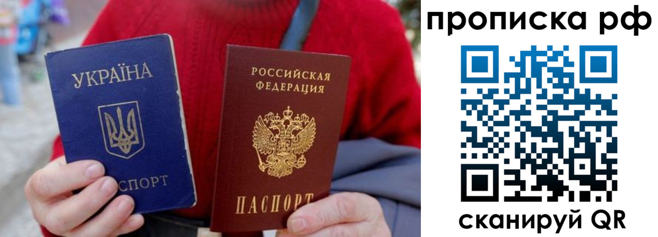 где прописаться в Сертолово